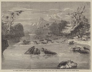 El entretenimiento sudafricano del Sr. Gordon Cumming, vista en el río Limpopo, con una manada de hipopótamos de Richard Principal Leitch